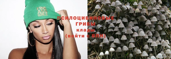стаф Абаза
