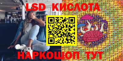 ПСИЛОЦИБИНОВЫЕ ГРИБЫ Рузаевка